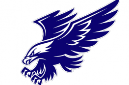 American Lakes School Eagle